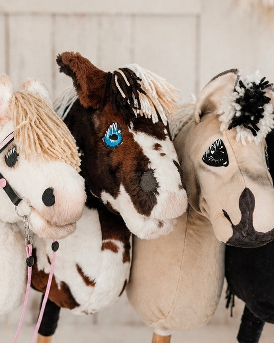 HOBBY HORSES