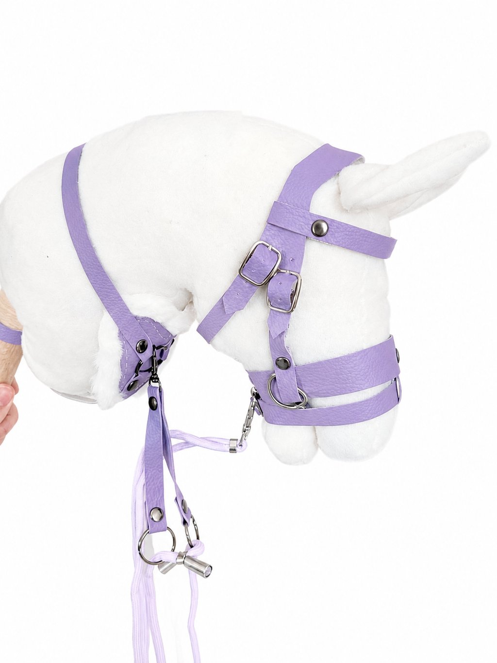 Ensemble équipement violet