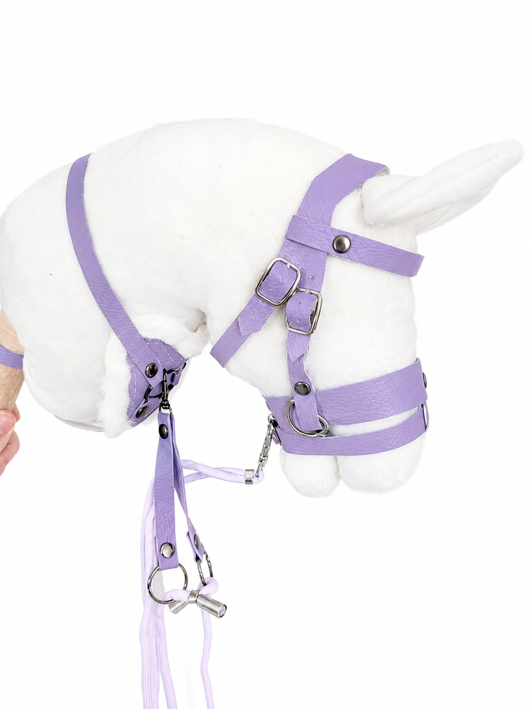 Ensemble équipement violet