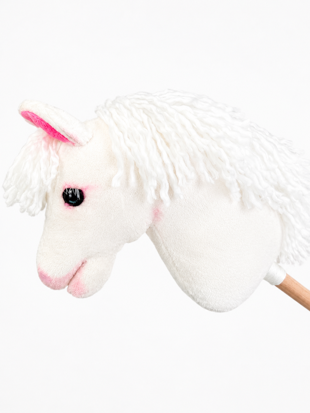 Hobby horse welsh