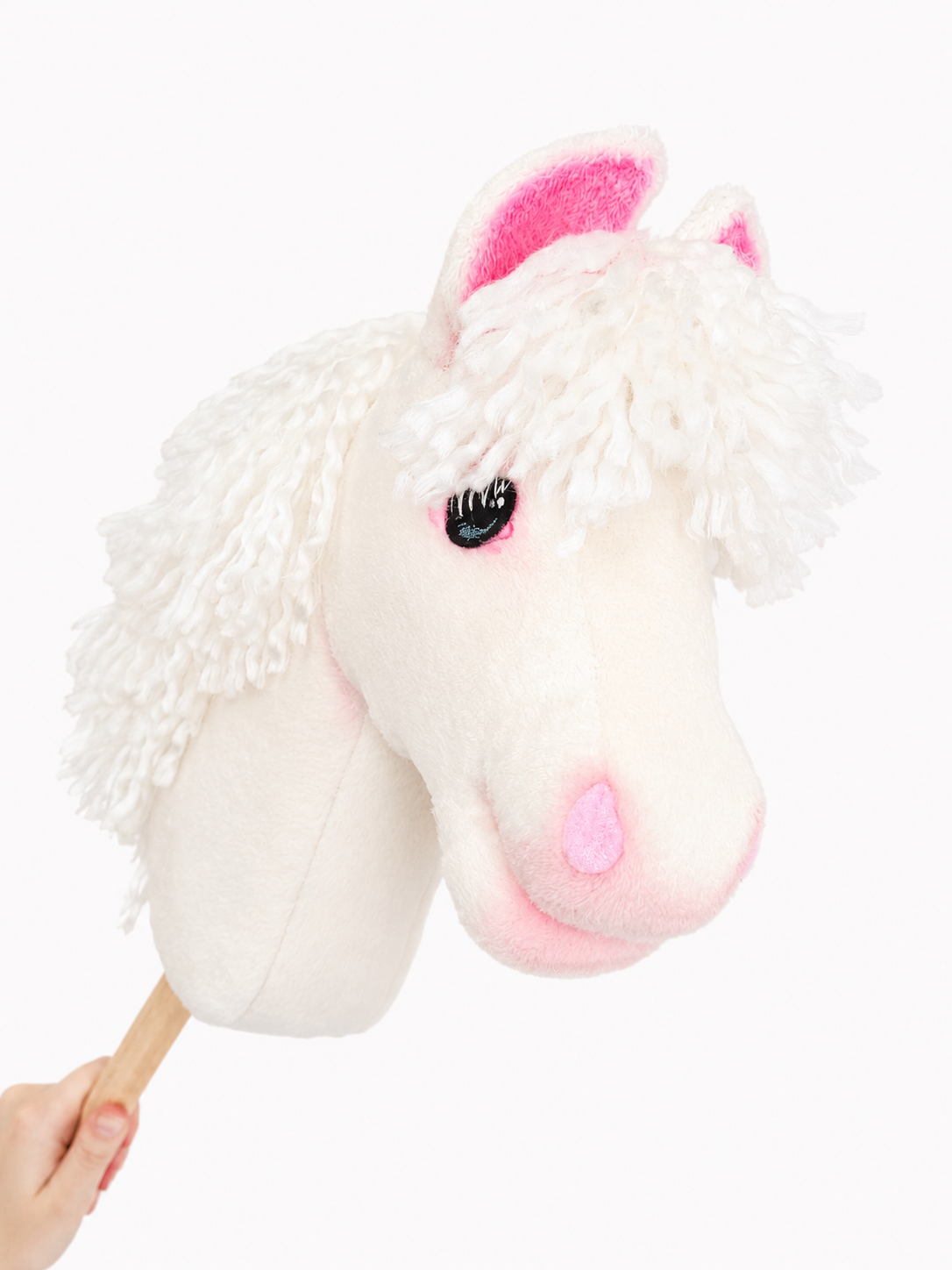 Hobby horse welsh