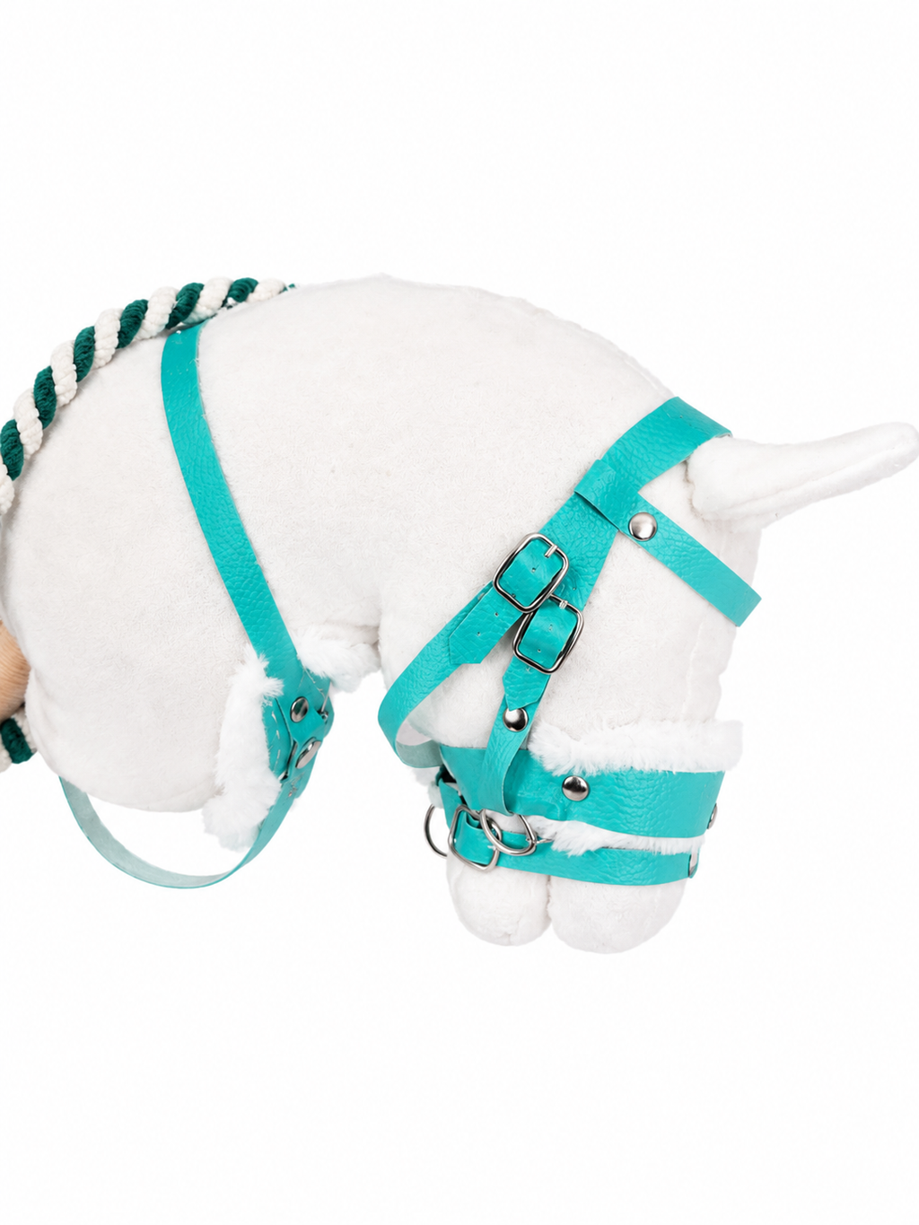 Ensemble équipement turquoise