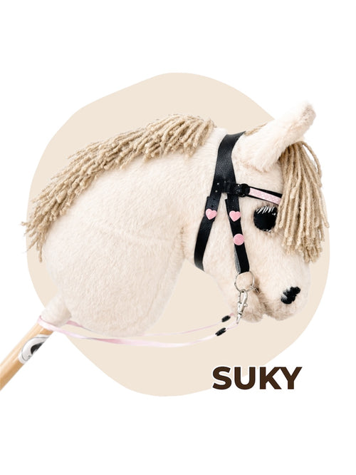 Hobby horse Connemara